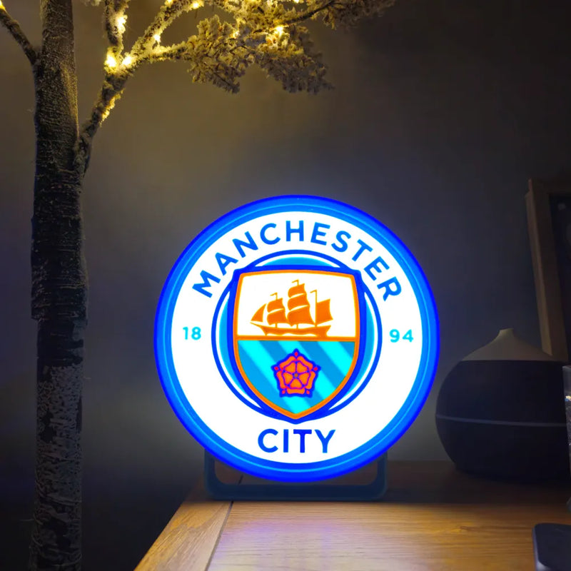 ELISO Silver Speed Light Box