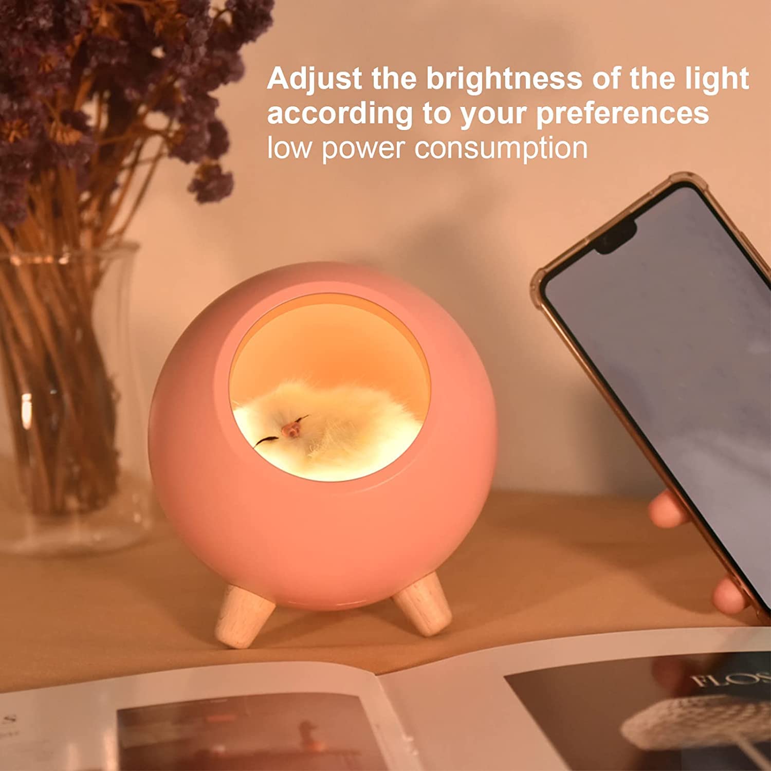 Eliso Sleeping Cat Pet House | Ambience Lamp LED Night Light