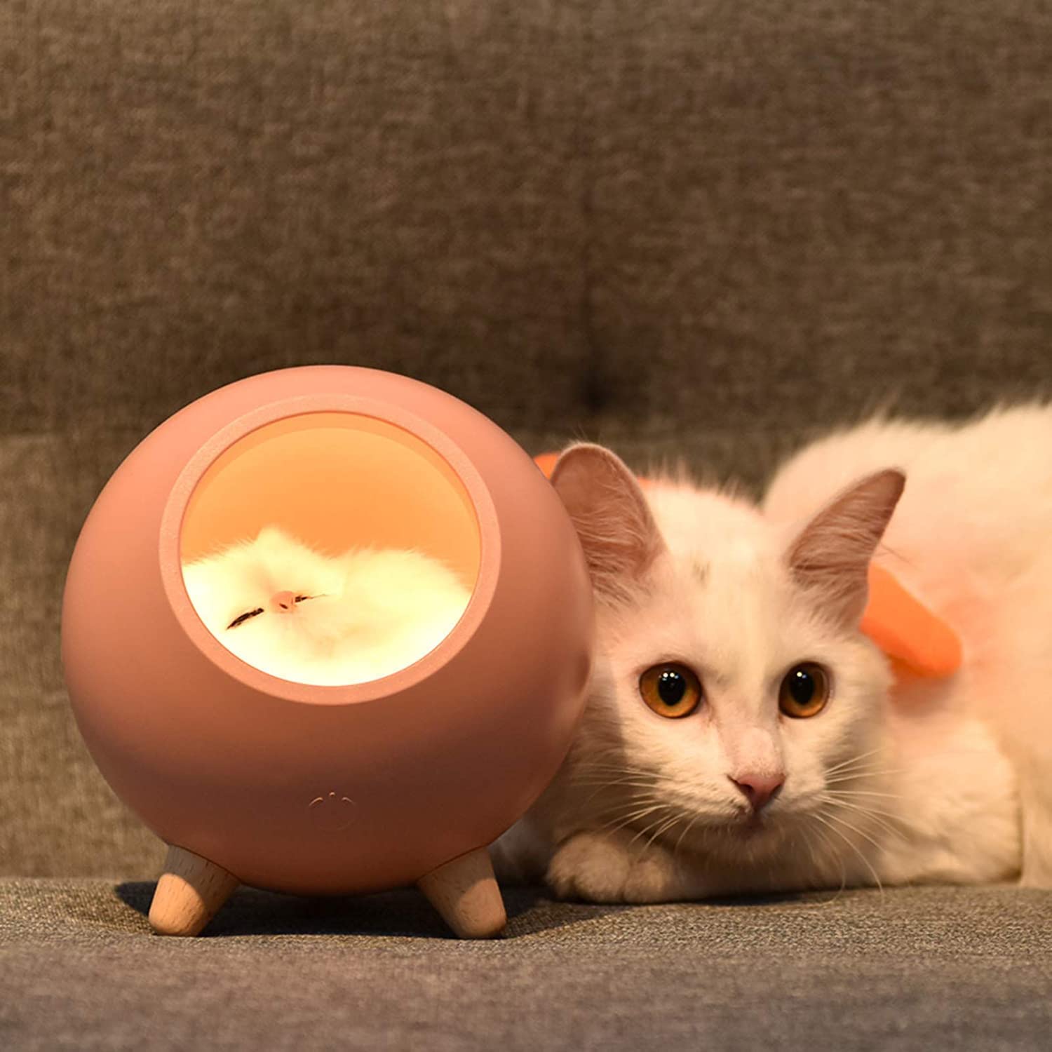 Eliso Sleeping Cat Pet House | Ambience Lamp LED Night Light