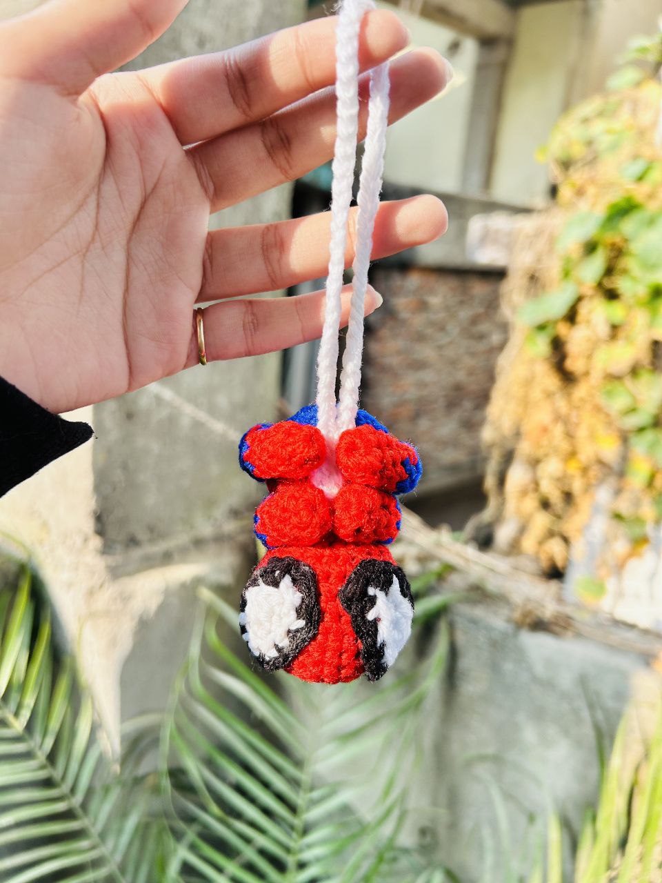 Spider Crochet 🕸️